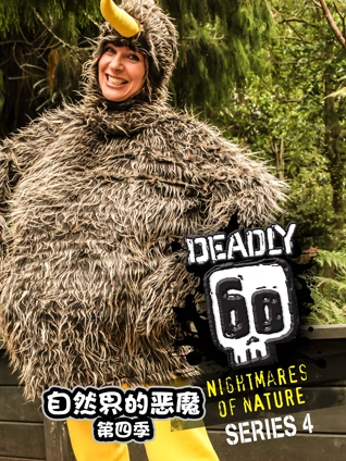 成人在线综合站2019