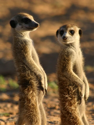 成人影视,很污的