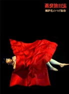 成人家庭影院播放器